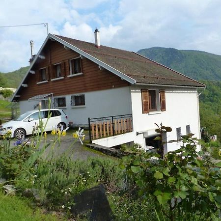 Les Cedres Daire Ax-les-Thermes Dış mekan fotoğraf