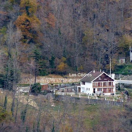 Les Cedres Daire Ax-les-Thermes Dış mekan fotoğraf